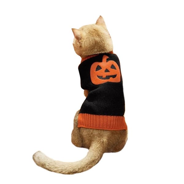 Halloween Husdjurskläder Pumpa Hundtröja L
