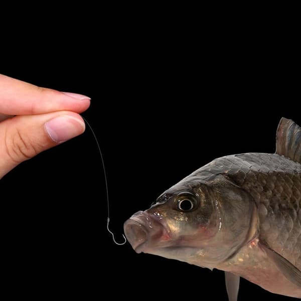 12-pack fiskekrokar i högkolstål 9