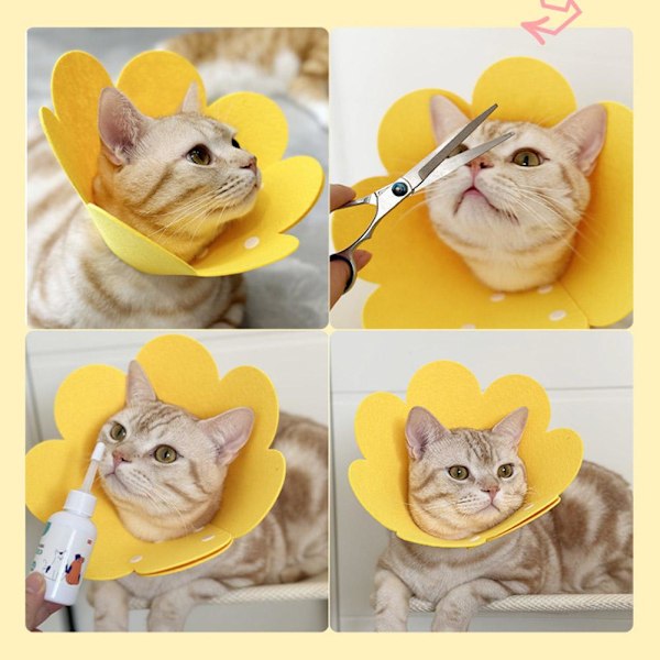 1x Husdjur Hund Katt Blomma Krage Filt Mjuk Kon Anti-Bett Valp E-Co orange M