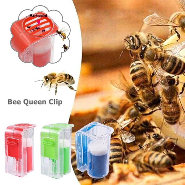 Rearing Queen Bee Marking Catcher Plast Handed Marker Flaska P Transparent +red 1pcs