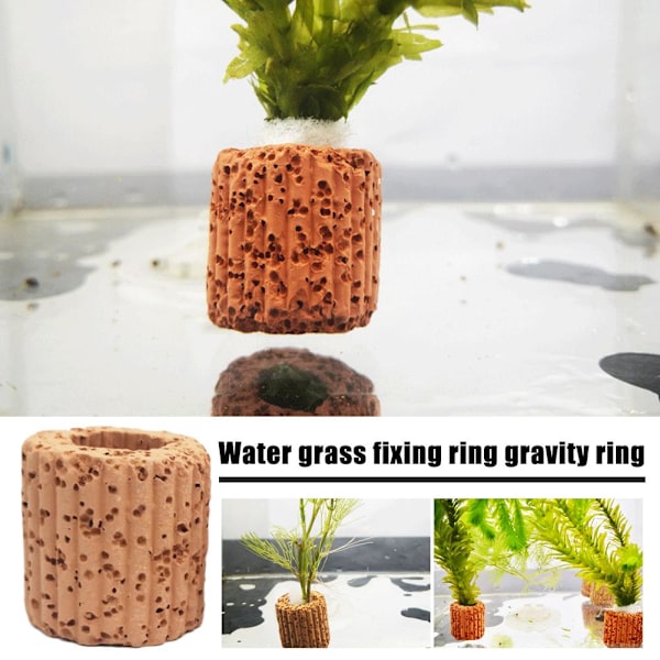Växter för akvarium Vikter Växtfixeringsring Akvarium GXM 5 1set