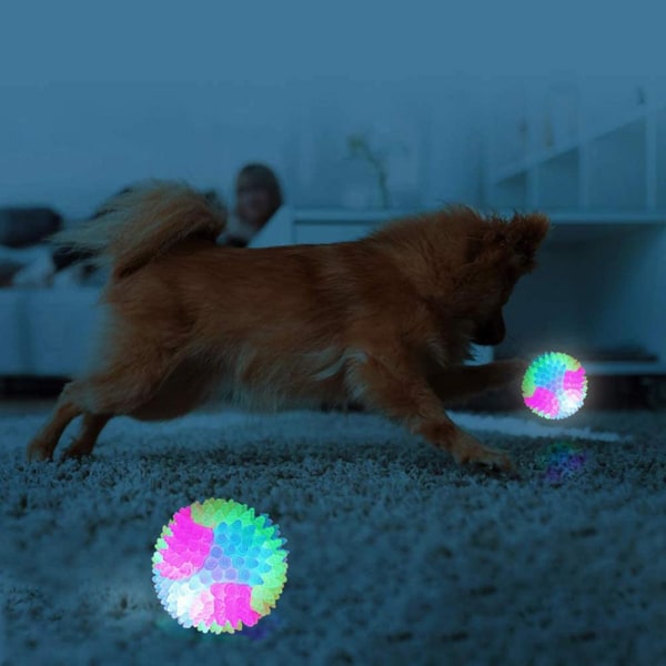 Ljus hundbollar Blinkande elastiska bollar Glow in the Dark Interacti Small ball glossy 5.5cm
