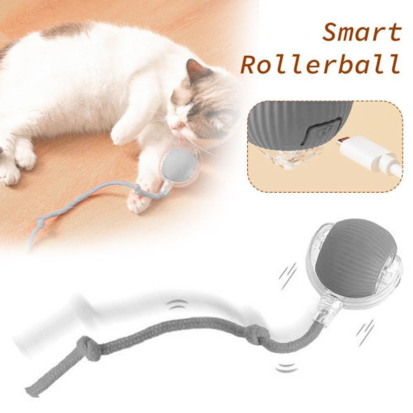 Interaktiv Kattleksaksboll SuperDrive Cat RollingBalls 2024 HOT med-Fågel J6D9