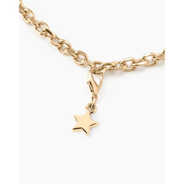 Charm Star Gold Gold