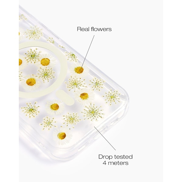 Clear Case MagSafe iPhone 13 / 14 / 15 / 16e Daisy Bloom Transparent