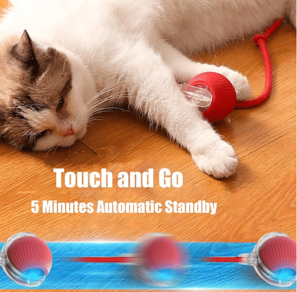 Rolling Ball for Dogs and Cats, Interactive Toy with 360° Intelligent Obstacle Avoidance, Red red