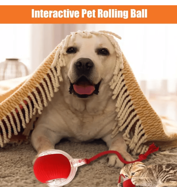 Rolling Ball for Dogs and Cats, Interactive Toy with 360° Intelligent Obstacle Avoidance, Grey grey