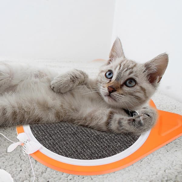 Husholdnings katteklobrett Katteklobrett for katter Oransje