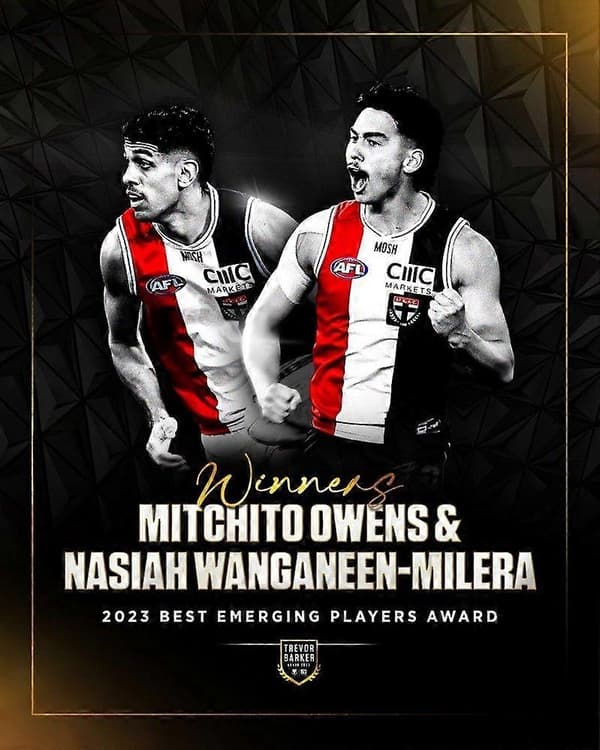 ST KILDA SAINTS TEAM PLAY Palapeli Aivojumppa V1907 300 Piece