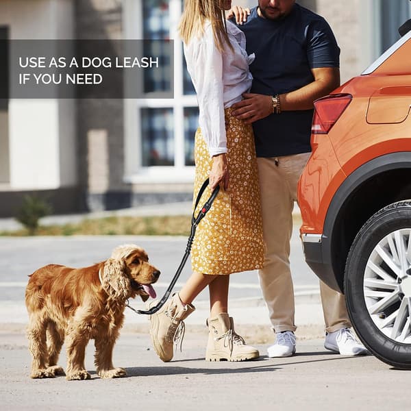 Comfortable Dog Harness for Car - 2-in-1 Leash and Seatbelt