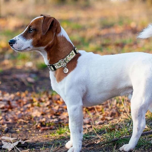 Unik stil pote hundehalsbånd justerbart halsbånd Format 1