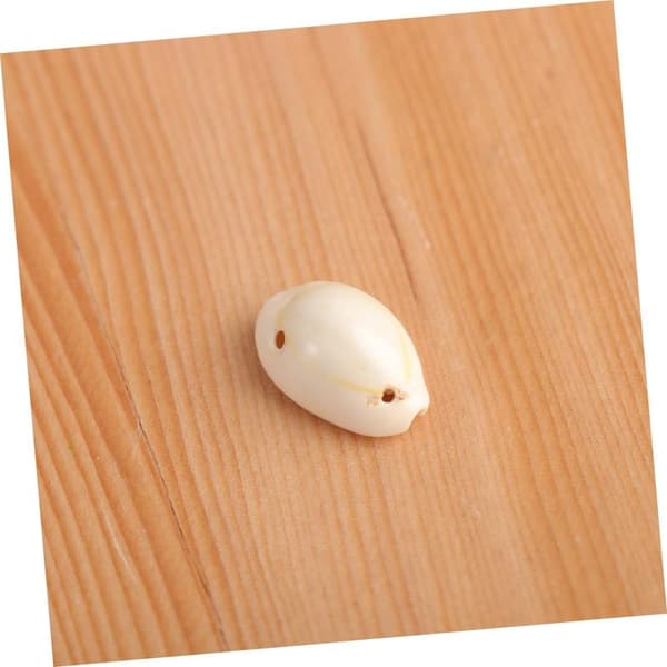Shell Pendant Seashell for Crafts Pearl Necklace Natural Shells