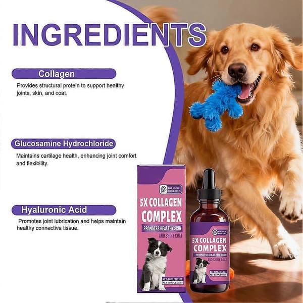 Hundkollagendroppar Ledvård Hud Hårvård Skonsam Formula Näringsstöd