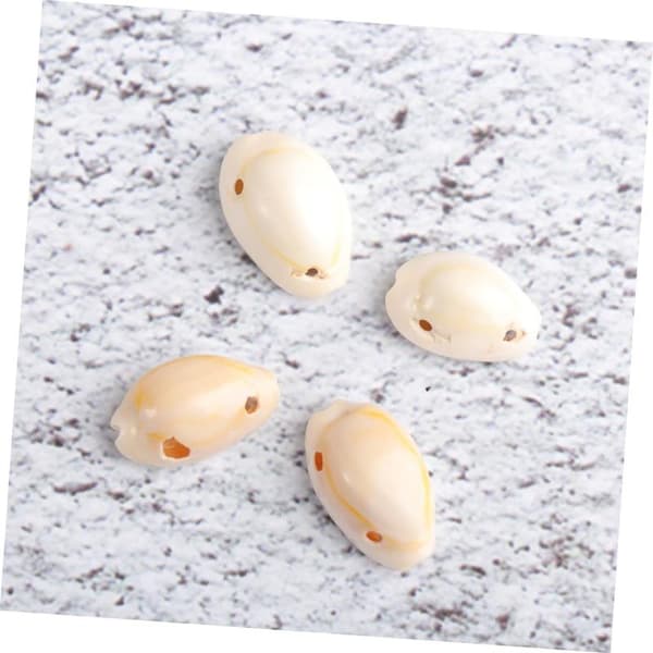 Shell Pendant Seashell for Crafts Pearl Necklace Natural Shells