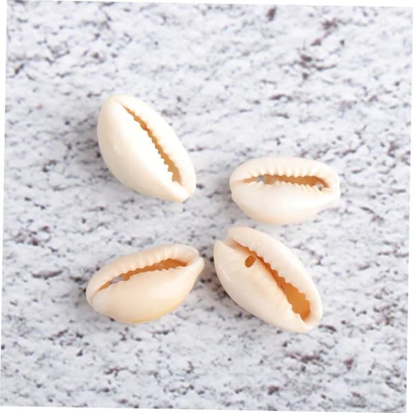 Shell Pendant Seashell for Crafts Pearl Necklace Natural Shells