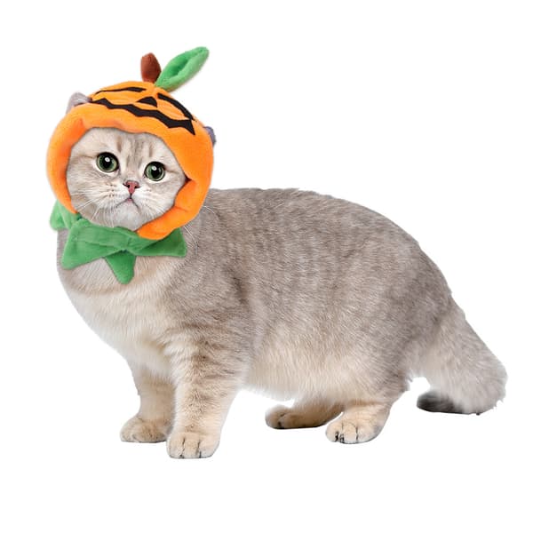 Katte Halloween Græskarhat Græskardæmonkasket Katte Hovedbeklædning[LD]