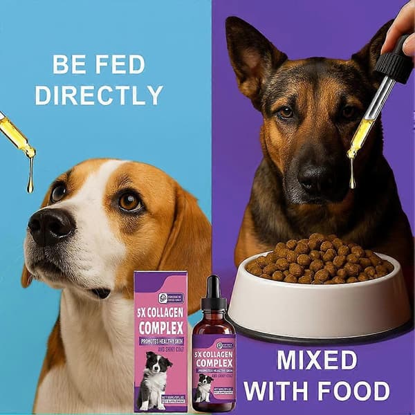 Hundkollagendroppar Ledvård Hud Hårvård Skonsam Formula Näringsstöd
