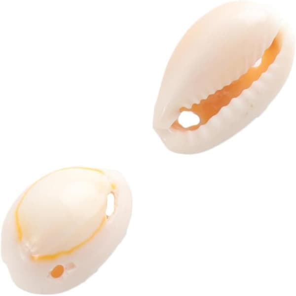 Shell Pendant Seashell for Crafts Pearl Necklace Natural Shells