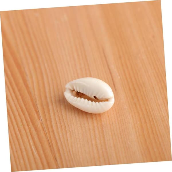 Shell Pendant Seashell for Crafts Pearl Necklace Natural Shells
