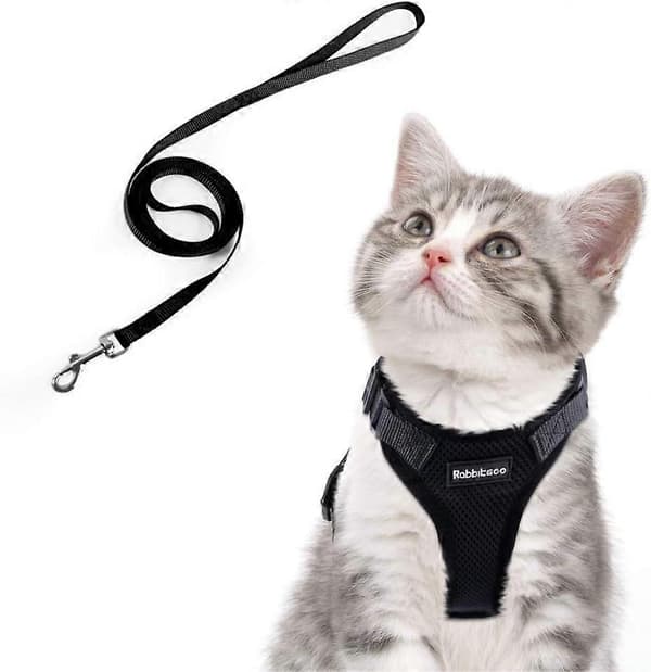 Cat Harness for Walking, Soft and Comfortable Design, Reflective Details for Increased Visibility, Adjustable Straps for Perfect Fit, Easy Co (LGL)