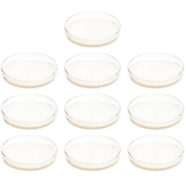10 st förhällda agarplattor petriskålar med agar Science Experiment Supplies Tw