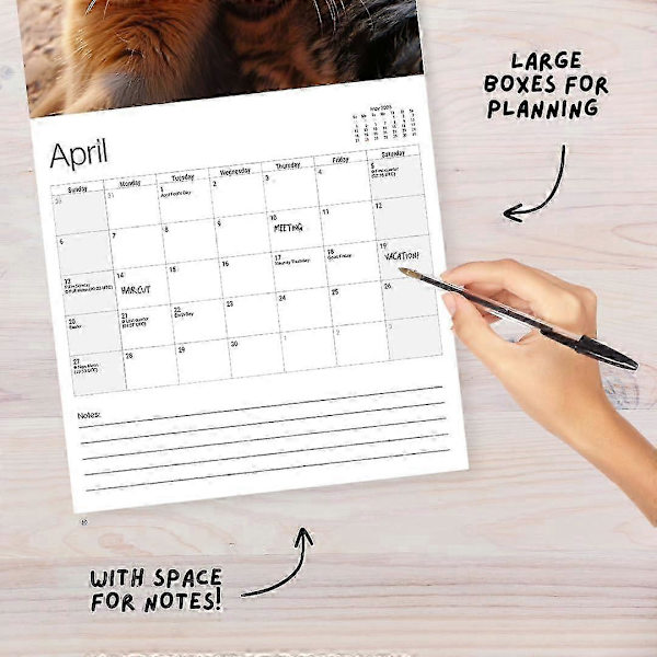 Katt-Selfies Kalender 2025, Katt Väggkalender 2025, Rolig Katt-Selfies Kalender 2025, 12 Månader Hängande Kalender Present till Kattälskare 1Pcs
