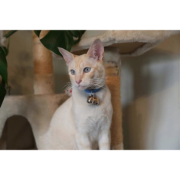 Ekstra høje katte- og hundeklokker | Kæledyrs tracker | Red fugle og dyreliv