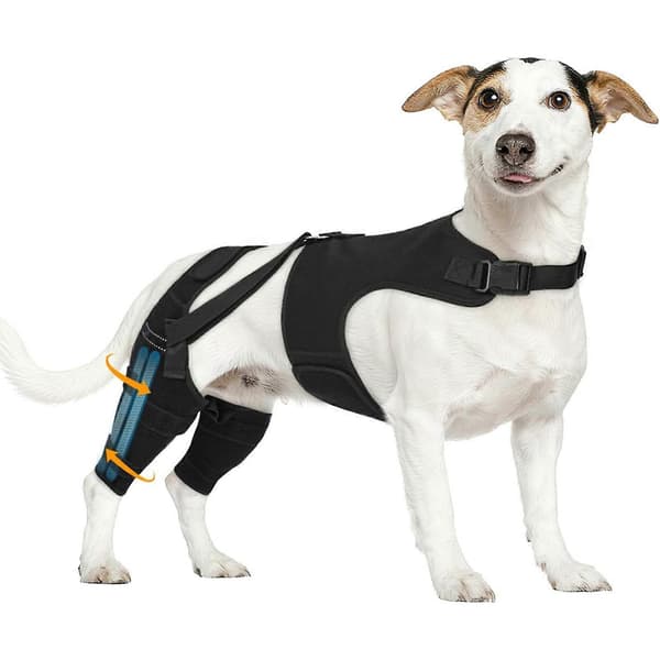 Skyddande Benstöd för Hund för Smärtlindring och Skadeförebyggande Justerbart Benstöd M M