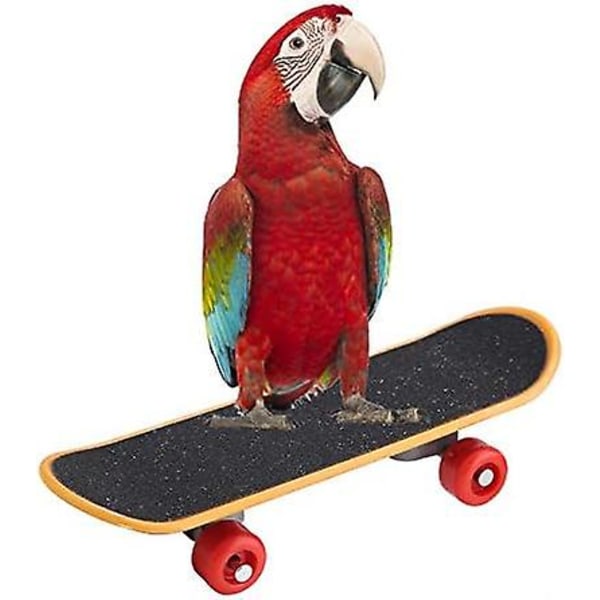 Fugl Papegøye Intelligens Leke Mini Trening Skateboard for Undulater, Parakitt Kakariki Kjærlighetsfugl Conure Små og Mellomstore Fugler Morsom Abbor Leke