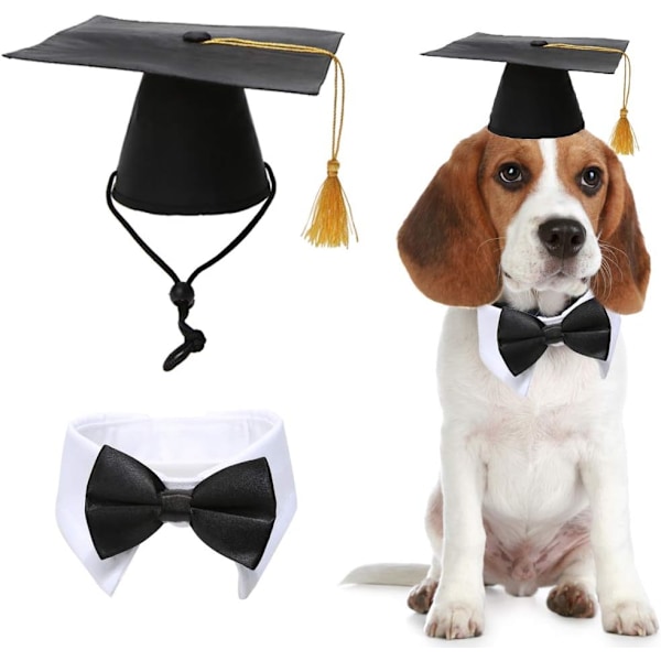 Lemmikkieläinten valmistujaislakki rusettisolmion kauluksella Koiran valmistujaishatut Asuste Puku koirille kissoille Hat+Bowtie