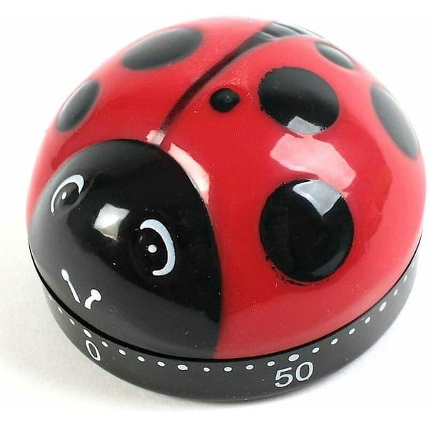 En nyckelpiga formad timer