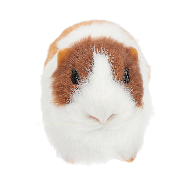 Lelut Hamsterit Realistinen Täytetty Marsu Malli Eläinhahmot Marsu Lelu Marsu Pehmolelu