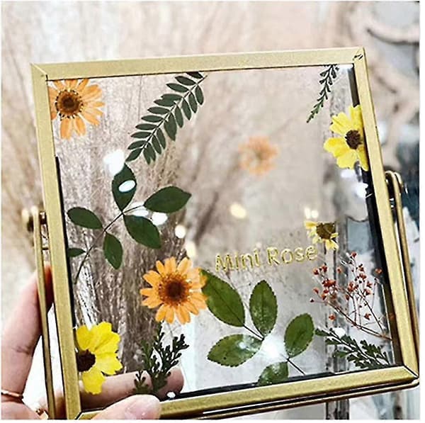 vägghängande glasram för pressade blommor - glasram för foton, kort
