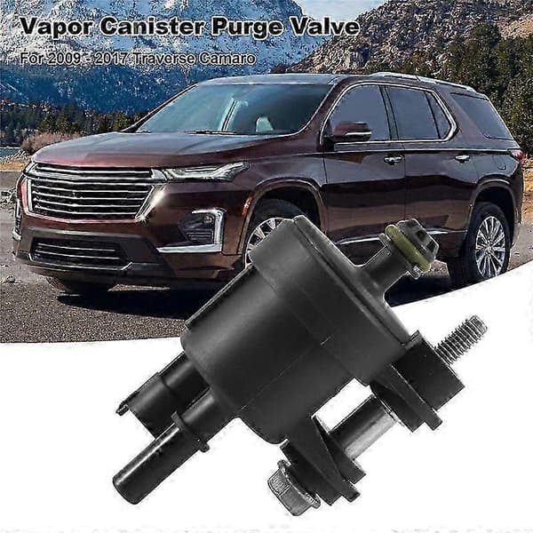 Renseventil for 2009-2017 Chevrolet Traverse 2009-2017 Camaro-modeller