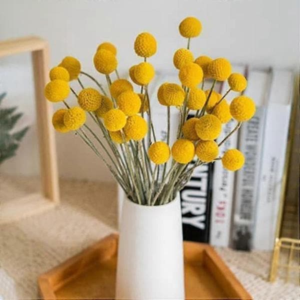 40 st Torkade Craspedia Blommor Torkade Billy Button Bollar Blommor--