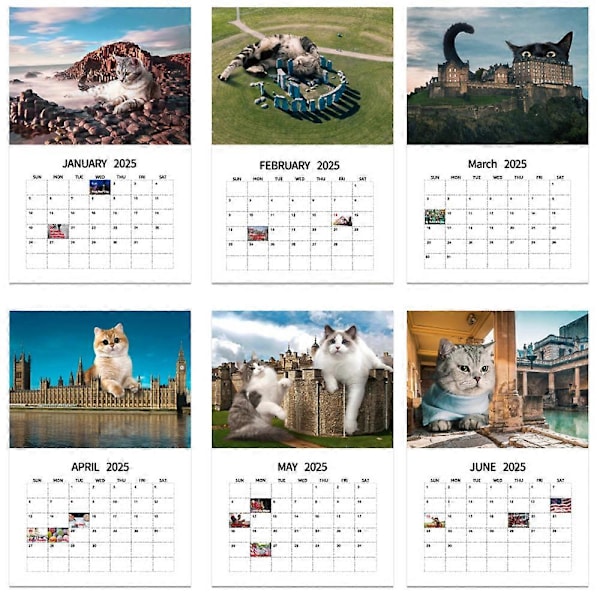 2025 Glant Cats Kalender Rolig Katt Väggkalender Månadsplanerare Daglig Organiserare Planering Rolig Julgåva