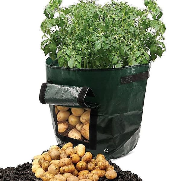 10 Gallon Potatisplanteringspåse Trädgårdsfat Trädgårdsodlingspåse 3pcs