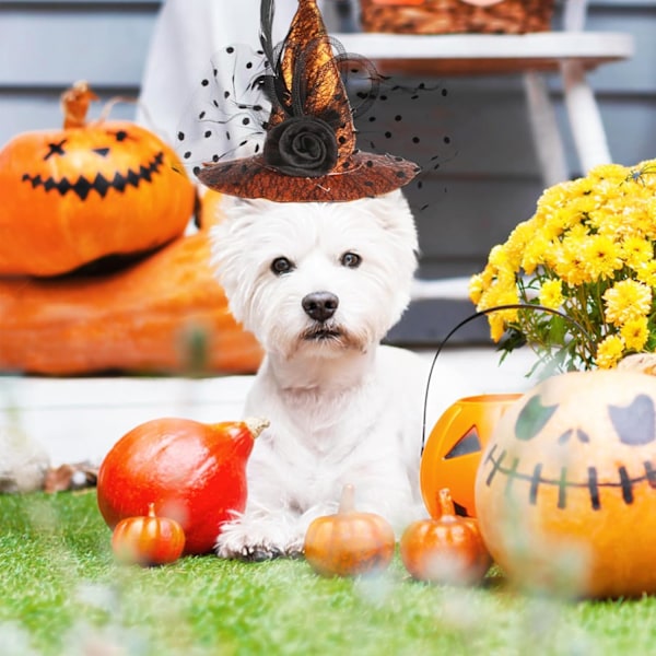 Halloween-lemmikkihattu Säädettävä noidanhattu kissoille ja koirille Keltainen noidanhattu Lemmikkipäähine Musta pitsi Cosplay-asut Säädettävä kukkahattu