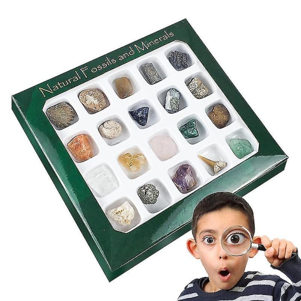 Kivet ja Mineraalit Kokoelma Rock Science Kit 20 kpl Kiteet Geotieteet Industries Luokkahuone