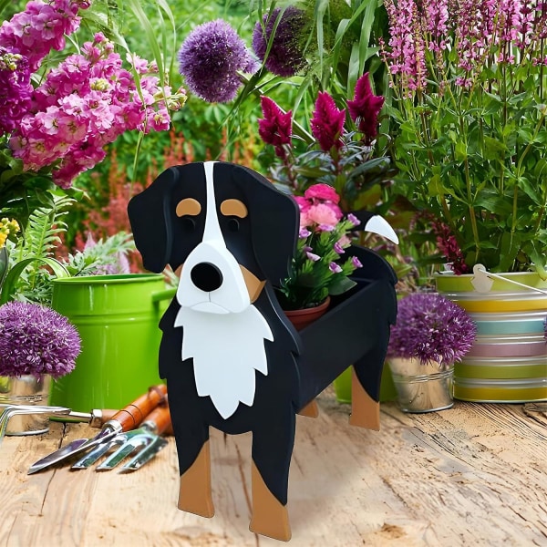 Hundeplanter, dyreformet blomsterpotte, førsteklasses sukkulente hagepotter, søt hundedesign, oppbevaringsbeholder for innendørs planter (bern Boyero)
