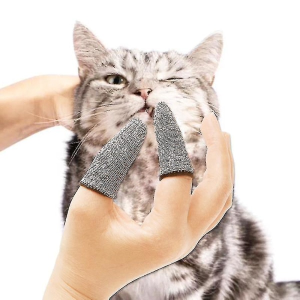 2st Finger-tandborste för husdjur Hundleksaker Miljöskyddshandske för  hundar och katter rena tänder husdjurstillbehör för katttänder ee8d | Fyndiq