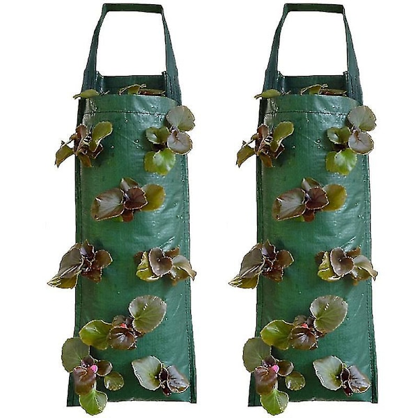 Hanging Strawberry Planter Growbags(2 Pcs, Green)