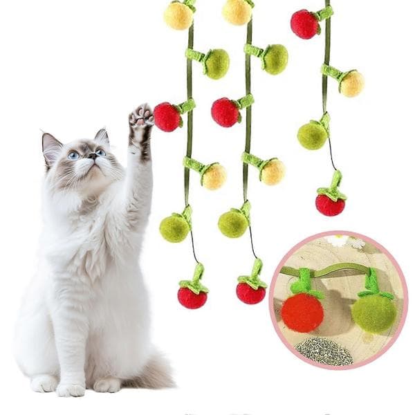 Frugtformet Katteurtlegetøj med Klokke, Interaktiv Teaser til Katte 3pcs