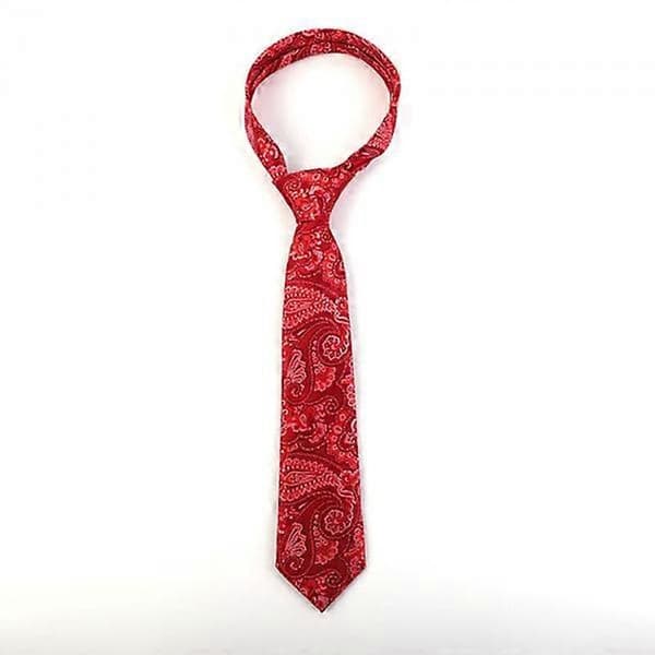 Nytt Klassisk Paisley Silkeslips for Menn