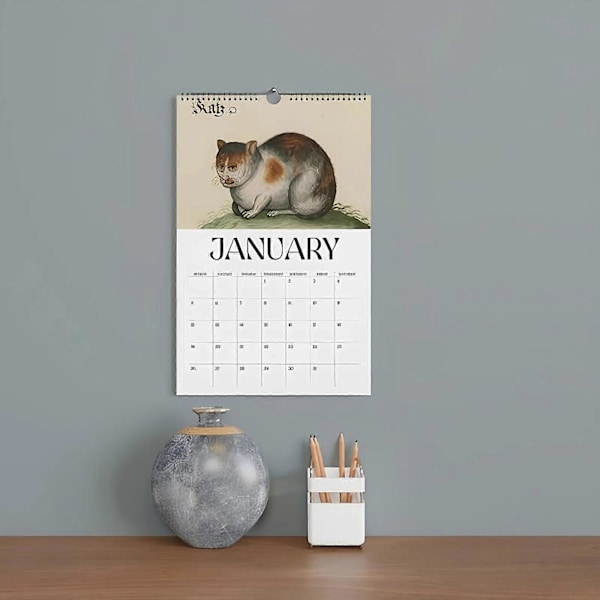 Fula Medeltida Kattkalender - 2025 Konstig Medeltida Katt Väggkalender | 12 Månader Fula Medeltida Kattkalender | Medeltida Katt Väggkalender | Kattteckning 3pcs