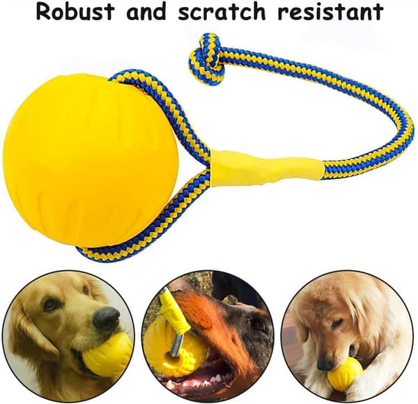 Hunde bold, hundekugle med reb, interaktiv hundeboldkaster til træningsøvelser, bolddiameter 7 cm