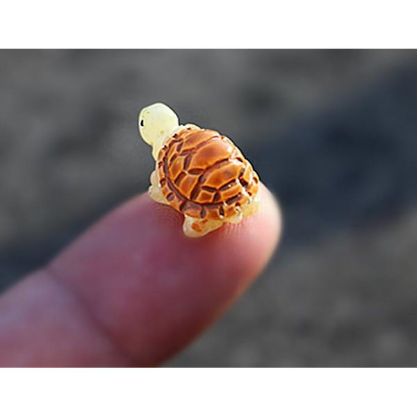 20 stk. Miniature Skildpadde Figur af Harpiks