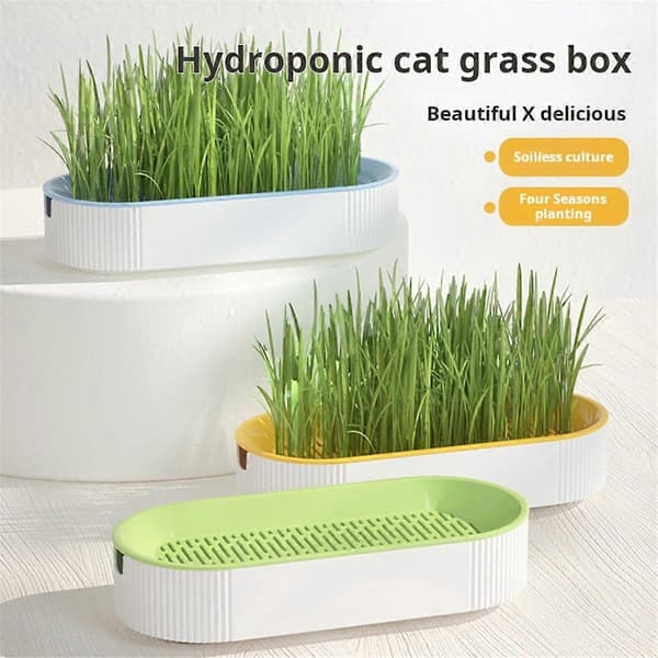 Hydroponisk kattgräslåda Kattsnacks Hydroponisk jordfri plantering Kattgräskruka Gul