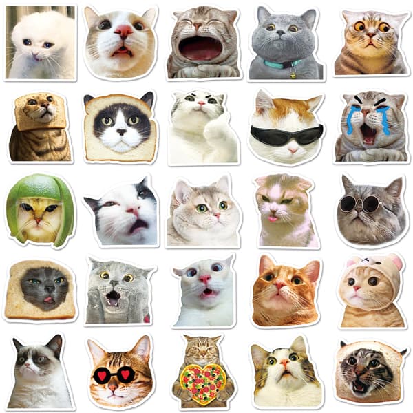 50 stk. søde katte-emoticons