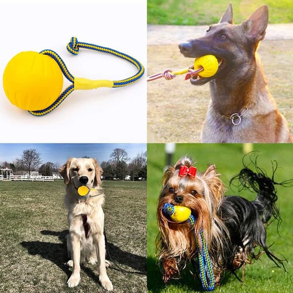 Hunde bold, hundekugle med reb, interaktiv hundeboldkaster til træningsøvelser, bolddiameter 7 cm